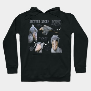 Animal Facts - Shoebill Stork Hoodie